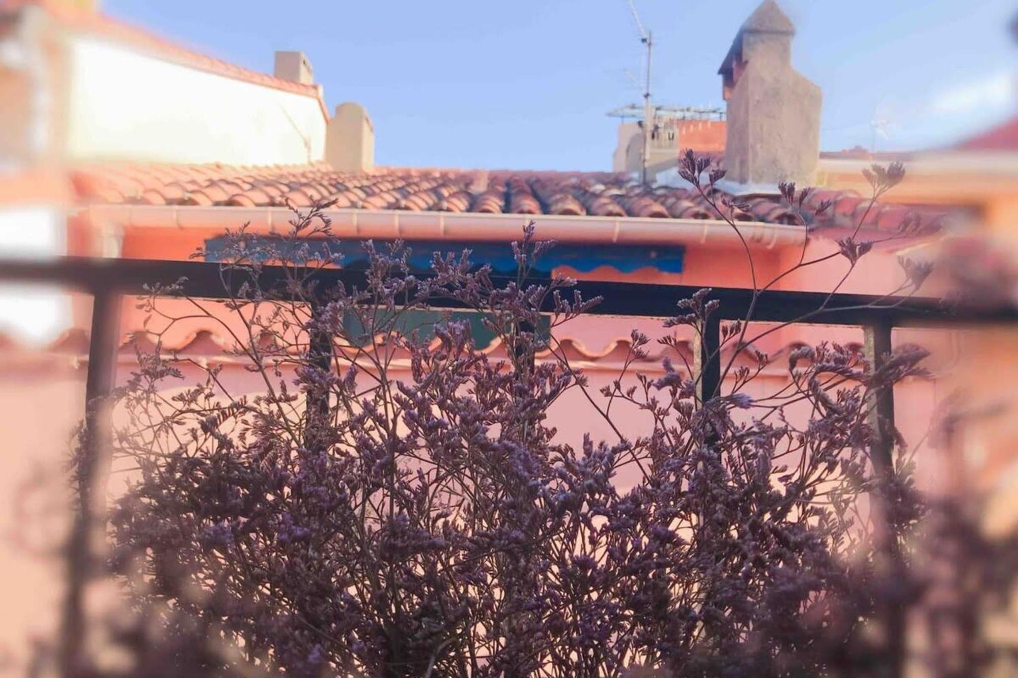 Résidence Saint Vincent Collioure Esterno foto